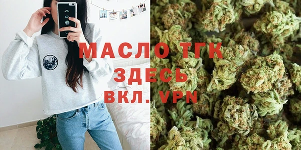 хмурый Горняк