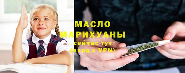 хмурый Горняк
