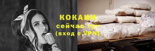 хмурый Горняк