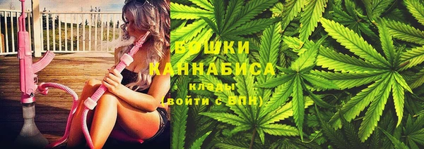 хмурый Горняк