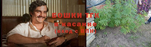 молекула духа Надым