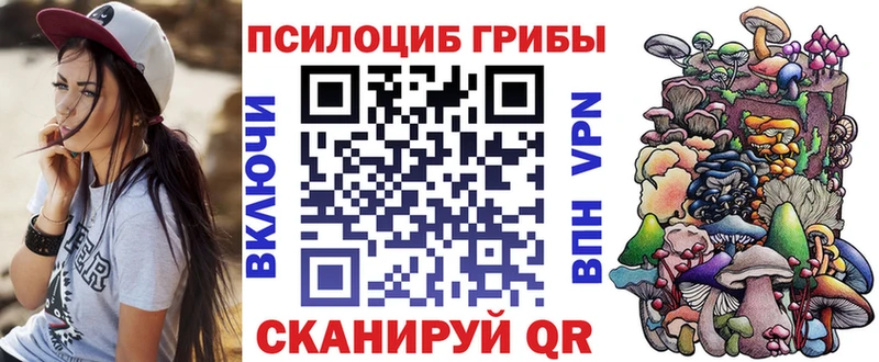 сколько стоит Пикалёво Галлюциногенные грибы Cubensis